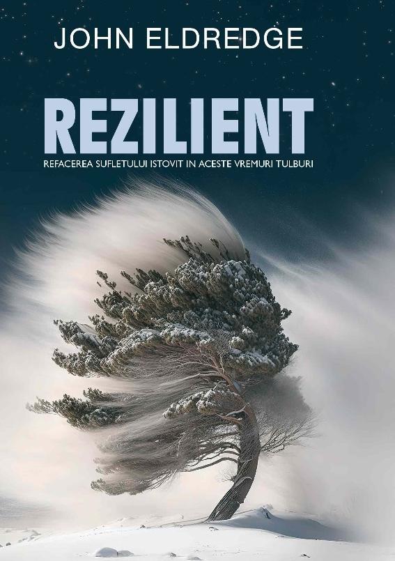 Rezilient — book cover designed by Daniela Pașca