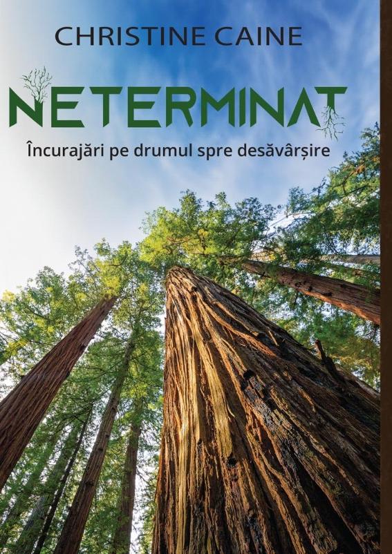Neterminat — book cover designed by Daniela Pașca